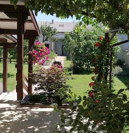 Ferienwohnung Maks Und Kris Sankt Andrä bei Frauenkirchen 외부 사진