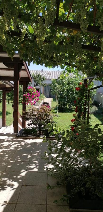 Ferienwohnung Maks Und Kris Sankt Andrä bei Frauenkirchen 외부 사진